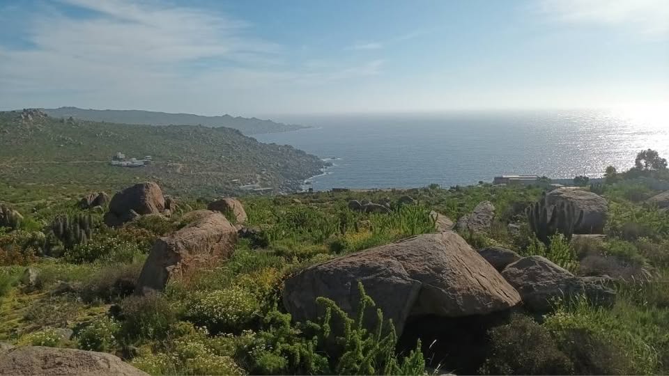 Panorámica costera