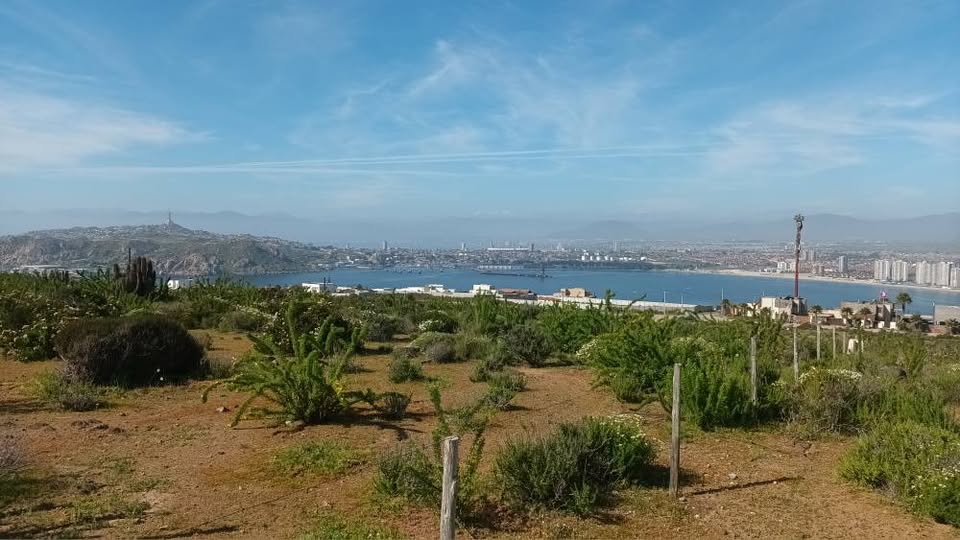 Bahía de Coquimbo desde Alta Vista de La Herradura